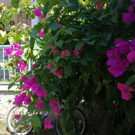 Hotel Nano Alaçatı