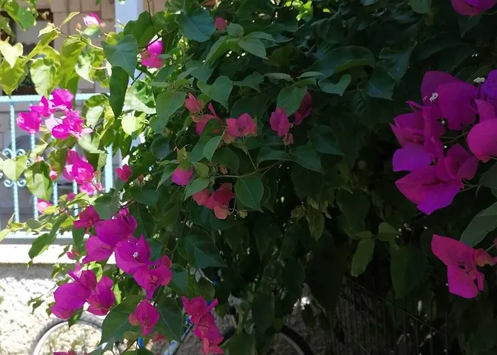 Hotel Nano Alaçatı